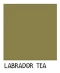 CRAFTSMAN COLLECTION - 100% Acrylic Latex